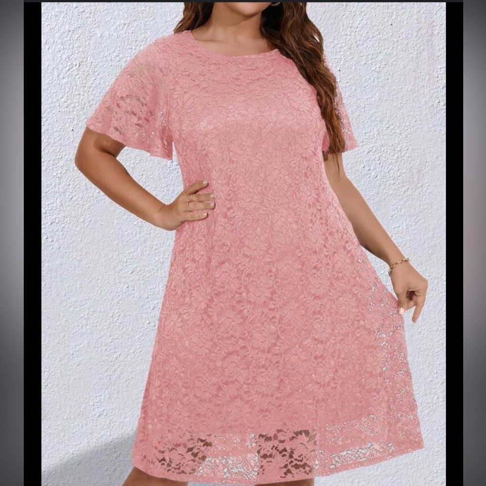 Ann Taylor Pink Lace Dress